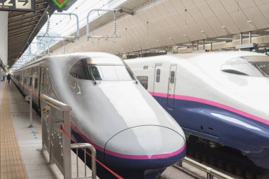 Tokyo / Japonya 11 Kasım 2017 Shinkansen hızlı tren ağı Japonya 'da yüksek hızlı tren hatları