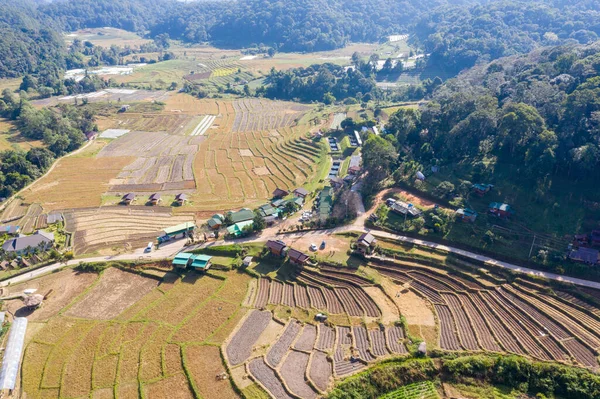 Terrasrijstveld Het Oogstseizoen Thailand Bovenaanzicht Luchtopname Van Verse Groene Gele — Stockfoto