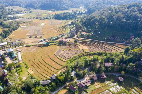 Terrasrijstveld Het Oogstseizoen Thailand Bovenaanzicht Luchtopname Van Verse Groene Gele — Stockfoto