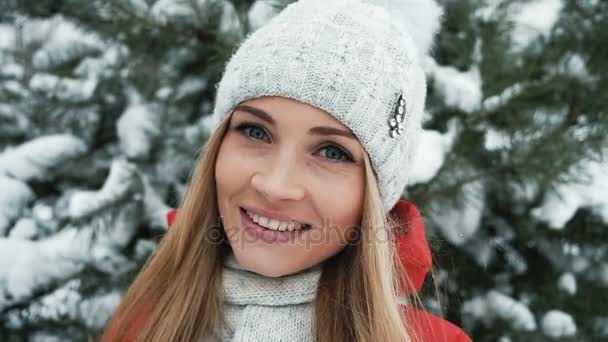 Schöne Blondine lächelt vor dem Hintergrund der Winterlandschaft — Stockvideo