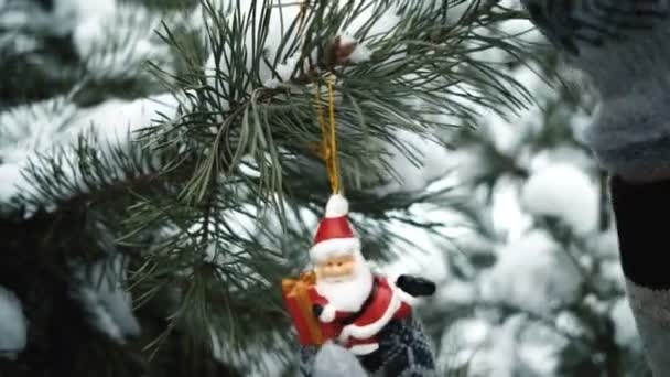 La donna decora l'abete con giocattolo durante anno nuovo in foresta — Video Stock