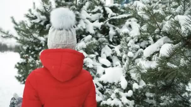 Beautiful woman cheerfully walks at coniferous trees covered by snow — Stock Video