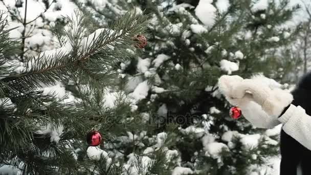 Woman decorates snowy fir-tree with red Christmas toy outdoors — Stock Video
