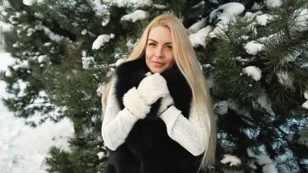 Belles poses blondes pour photographe, paysage d'hiver — Video