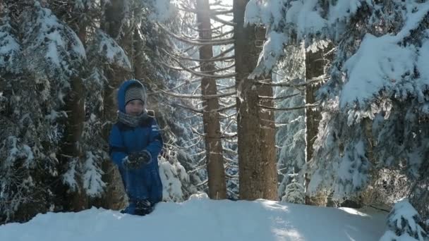 Boy in blue overalls on the hill playing snowballs in winter wood. — Stock Video