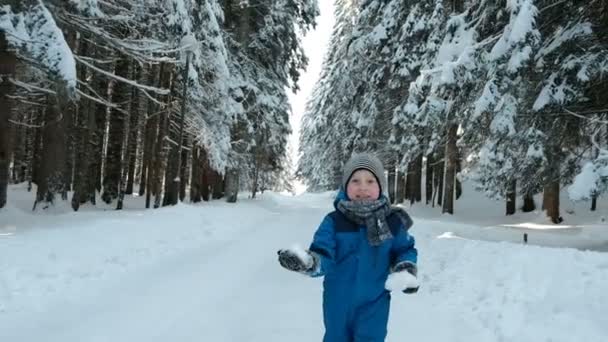 Jongen in blauwe overalls uitgevoerd op weg winter bos met sneeuwballen. — Stockvideo