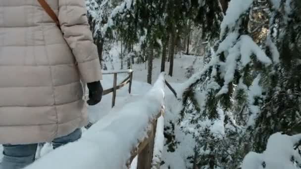 Замедленной съемки женщина собирается на деревянный мост через реку в лесу — стоковое видео