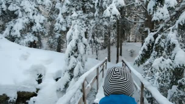 Bambino carino va con attenzione lungo il ponte di legno, paesaggio invernale . — Video Stock