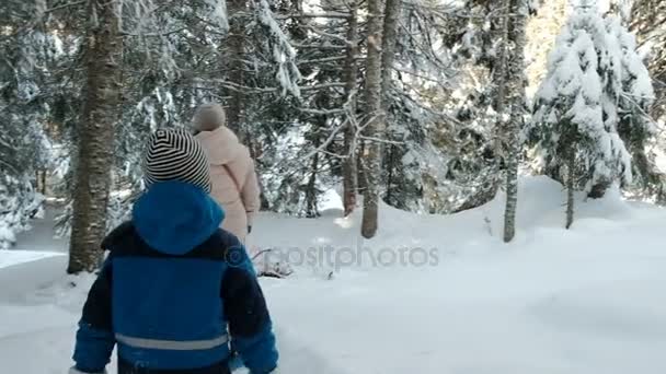 Little boy and woman walk in winter coniferous forest. View from back. — Stock Video