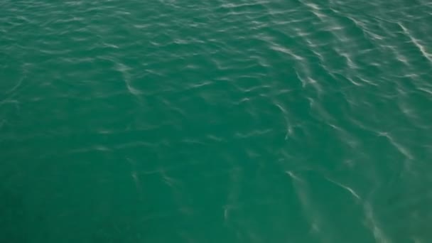 Closeup view watery sparkling surface in summer sunny day. — Stock Video