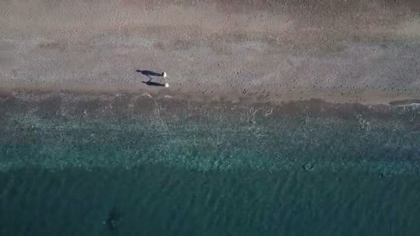 Blick auf zwei Personen, die an einem sonnigen Tag entlang der Küste spazieren. sie halten sich an den Händen und schlendern langsam an der Sandküste entlang. — Stockvideo