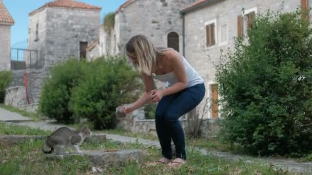 Mujer joven alimentando gato de pie al aire libre en el día de verano. Ella cuidadosamente vierte comida seca de vidrio — Vídeos de Stock