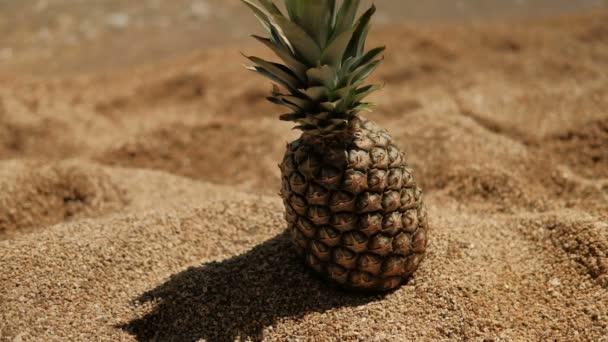 Schöne Ananas am Sandstrand am Meeresufer bei sonnigem Tag. — Stockvideo