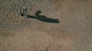 Genç adam kadın tutar ve onu sahilde yaz gün açık havada daireler.