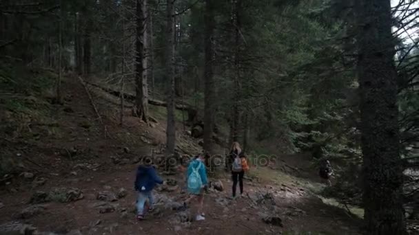 Una familia con niños está caminando a lo largo de la ladera de un denso bosque . — Vídeo de stock