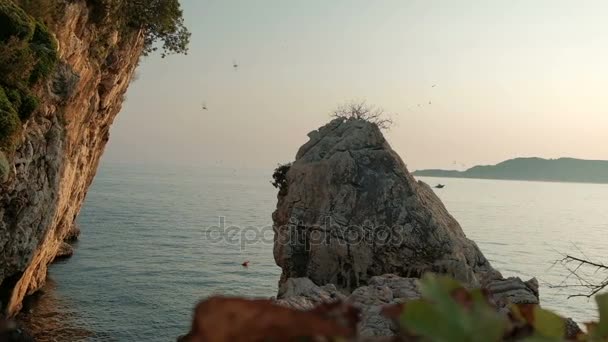 Op een groot rotsblok cirkelen zwerm vogels in de buurt van de zee met een boot. — Stockvideo