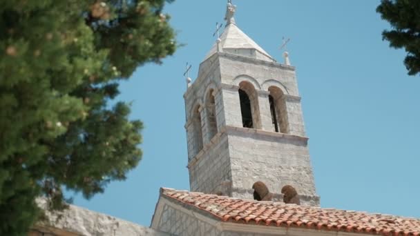 View of stone tower in summer among fluffy foliage. — Stock Video