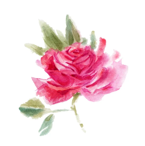 Aquarell Rosenblüte — Stockfoto