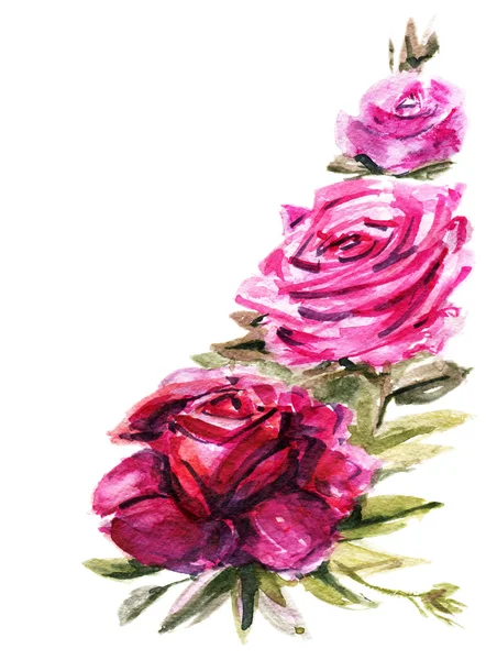 Aquarela rosa flores — Fotografia de Stock
