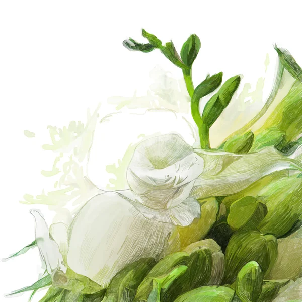 Białe kwiaty i pąki — Zdjęcie stockowe