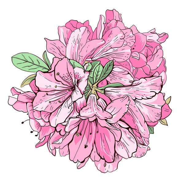 Flores rosadas sobre un blanco — Vector de stock