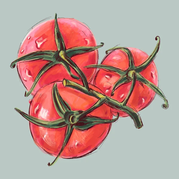 Bosquejo de tomates rojos — Vector de stock