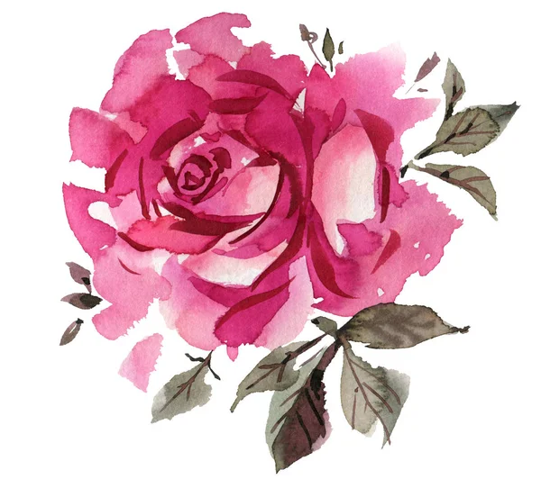 Różowa Róża w akwareli — Zdjęcie stockowe