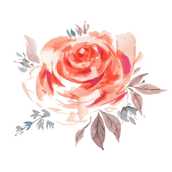 Acquerello rosa fiore — Foto Stock