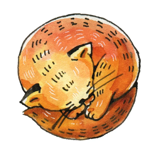 Akvarell vörös macska — Stock Fotó