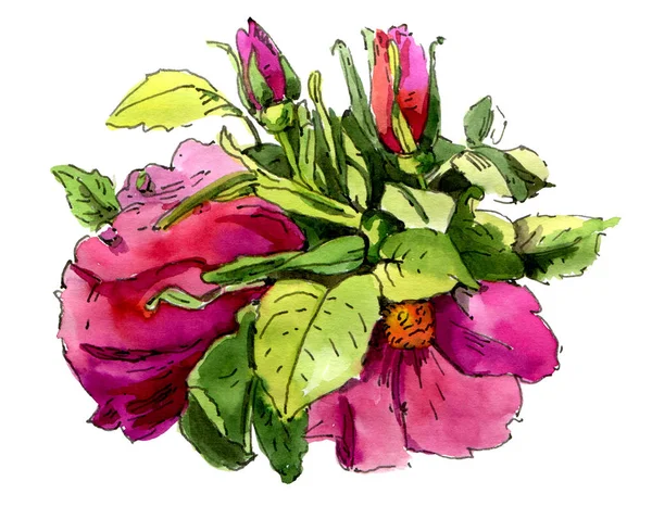 Watercolor Dog roses — Stock Photo, Image