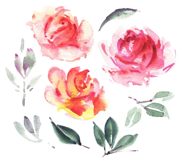 Aquarelle fleurs ensemble — Photo