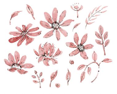 suluboya çiçek koleksiyonu