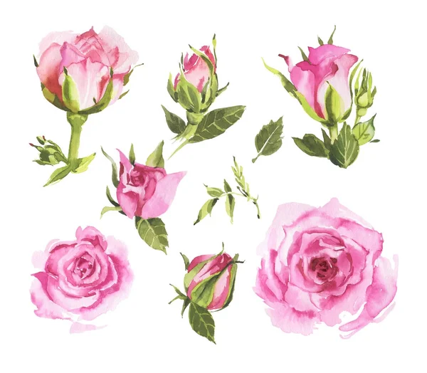 Rose aquarelle roses — Photo