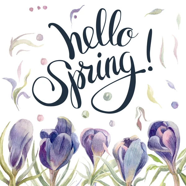 Postcard Watercolor Crocuses Lettering Hello Spring Hand Drawn Illustration — Stock Photo, Image