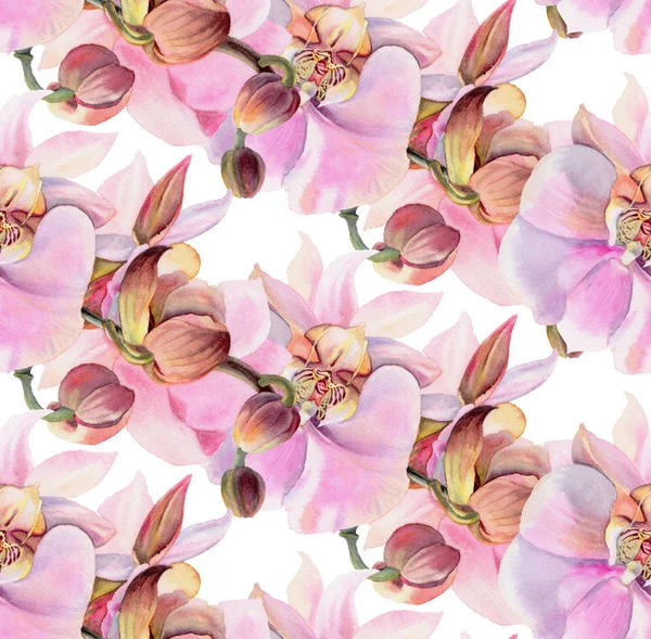 Pembe Orkide Dikişsiz Desen Suluboya Çiçekli Resimde Çizilmiş — Stok fotoğraf