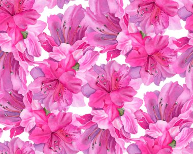  Parlak pembe azaleas. Dikişsiz desen suluboya çiçekli. Resimde çizilmiş. 