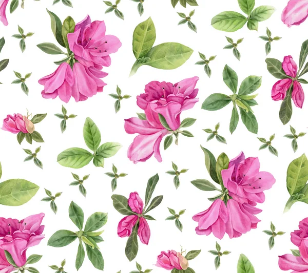 Helder Roze Azalea Naadloze Patroon Met Aquarel Bloemen Handgetekende Illustratie — Stockfoto