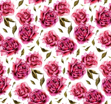 Beyaz zemin üzerine suluboya gül ile Seamless modeli. Resimde çizilmiş. 