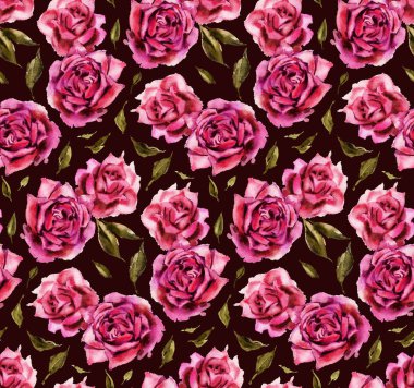 Siyah arka plan üzerine suluboya gül ile Seamless modeli. Resimde çizilmiş. 