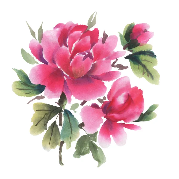 Fiori Acquerello Isolati Uno Sfondo Bianco Peonie Illustrazione Disegnata Mano — Foto Stock