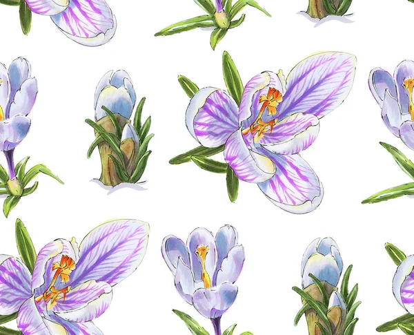 Bezešvé Vzory Jarními Květy Krokusy Kreslím Značkami Ručně Kreslená Ilustrace — Stock fotografie