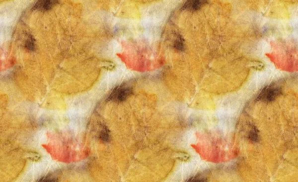 Безшовний Ботанічний Принт Листовими Відбитками Натуральному Шовку Мальована Вручну Ілюстрація — стокове фото