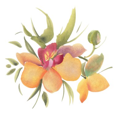 Beyaz arka planda izole edilmiş suluboya çiçekler. El çizimi illüstrasyon. 