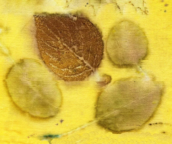 Ботанический Отпечаток Отпечатками Листьев Натуральном Шелке Ручная Иллюстрация — стоковое фото