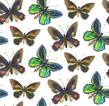 Kelebeklerle kusursuz desen. Alkol kalemleriyle çizim.