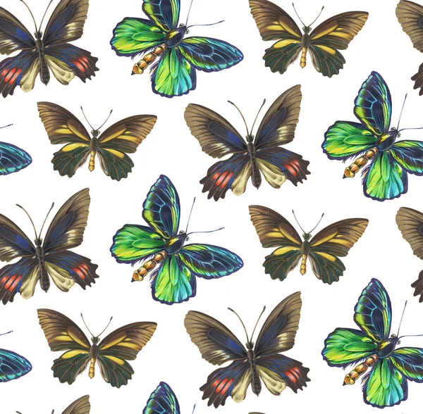 Patrón Sin Costuras Con Mariposas Dibujo Con Marcadores Alcohol —  Fotos de Stock