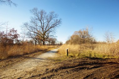 Güz Ojibway Tallgrass Prairie
