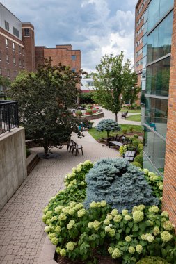 Dinlenmek ve dinlenmek için Hastane Bahçeleri