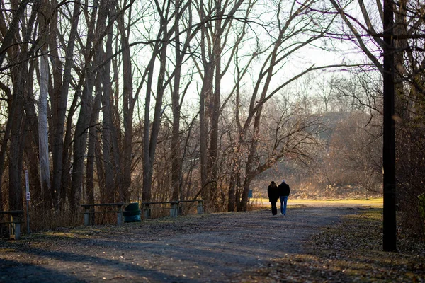 Άγνωστο ζευγάρι περπάτημα διαδρομή στο δάσος μακριά από τον θεατή — Φωτογραφία Αρχείου