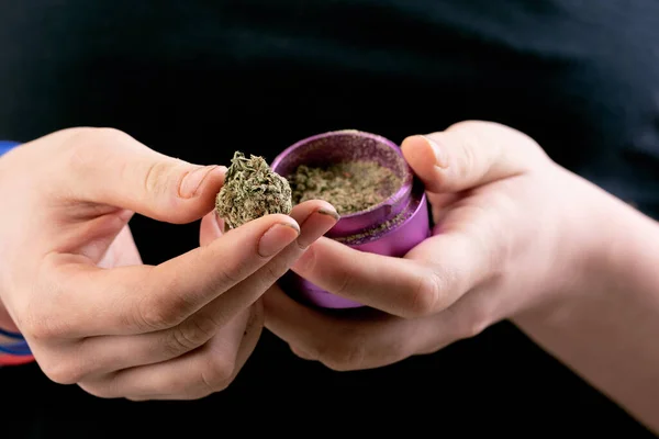 Person som håller torr Cannabis Blomma eller Bud — Stockfoto